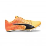 PUMA evoSPEED BRUSH 6