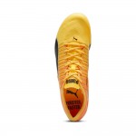 PUMA evoSPEED BRUSH 6